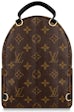 Louis Vuitton Palm Springs Mini Brown Leather ref.1038021 - Joli Closet