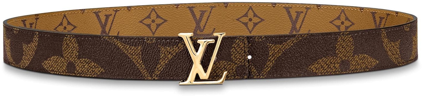 Louis Vuitton Reversible LV Iconic Giant 30 MM Brown in Canvas with Gold-tone