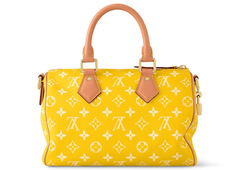 Speedy vuitton sale 25