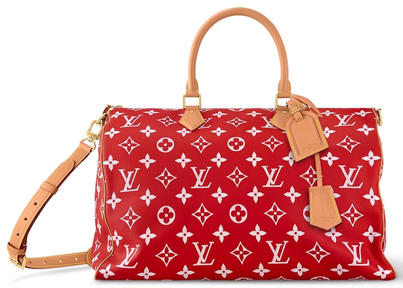 Red leather sales louis vuitton bag