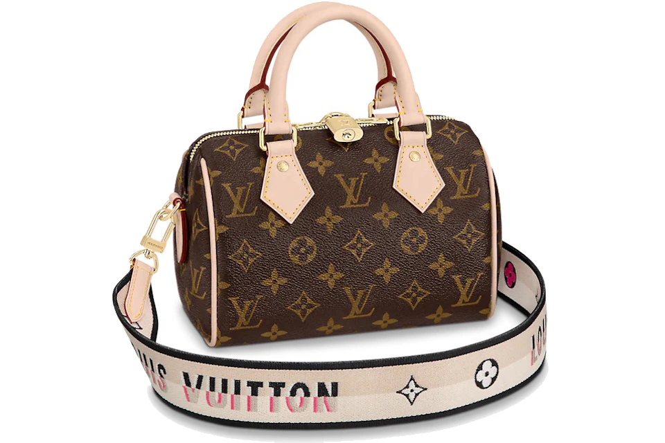 Louis Vuitton Speedy 20 Brown/Black in Coated with Gold-tone - ES