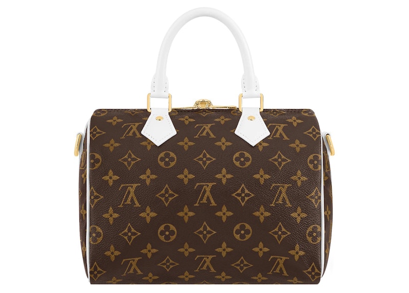 Louis vuitton 2024 speedy 25