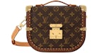 Louis Vuitton x Nigo Montsouris Trunk Brown