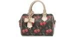 Louis Vuitton x Takashi Murakami Cherry Speedy Bandouliere 20 Brown Monogram