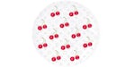 Louis Vuitton x Takashi Murakami Set of 2 Cherry Dessert Plates White Monogram