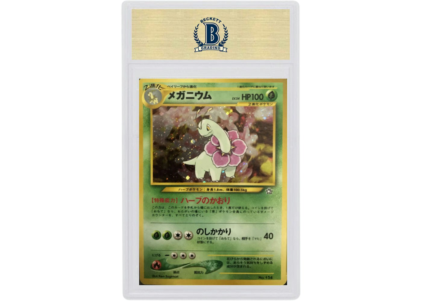 Meganium Holo 1999 Pokemon Tcg Japanese Neo Premium File 154 1999 Meganium Holo 1999 Pokemon Tcg Japanese Neo Premium File 154 1999