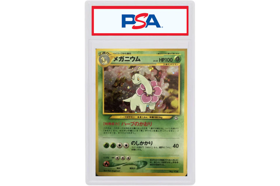 Meganium Holo 1999 Pokemon Tcg Japanese Neo Premium File 154 1999 Meganium Holo 1999 Pokemon Tcg Japanese Neo Premium File 154 1999