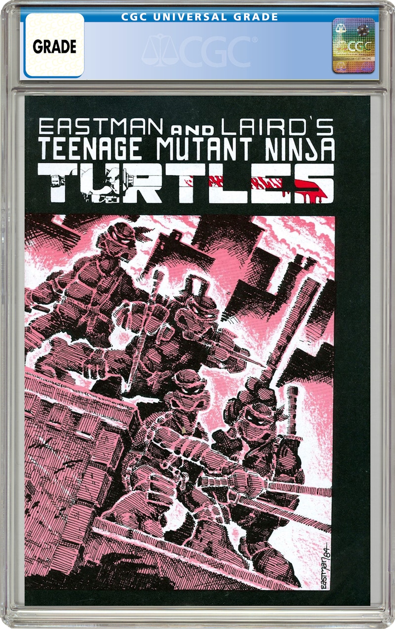 Mirage Studios Teenage Mutant Ninja Turtles (1984) #1REP.3RD Comic Book ...