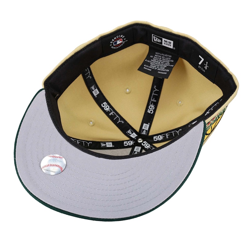 New Era Tampa Bay Devil Rays Vegas Gold Collection Tropicana Field ...