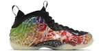 Nike Air Foamposite One Beijing Planet Hoops