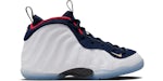 Nike Air Foamposite One Olympic (2024) (enfant)