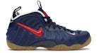 Nike Air Foamposite Pro Bleu Void University Rouge