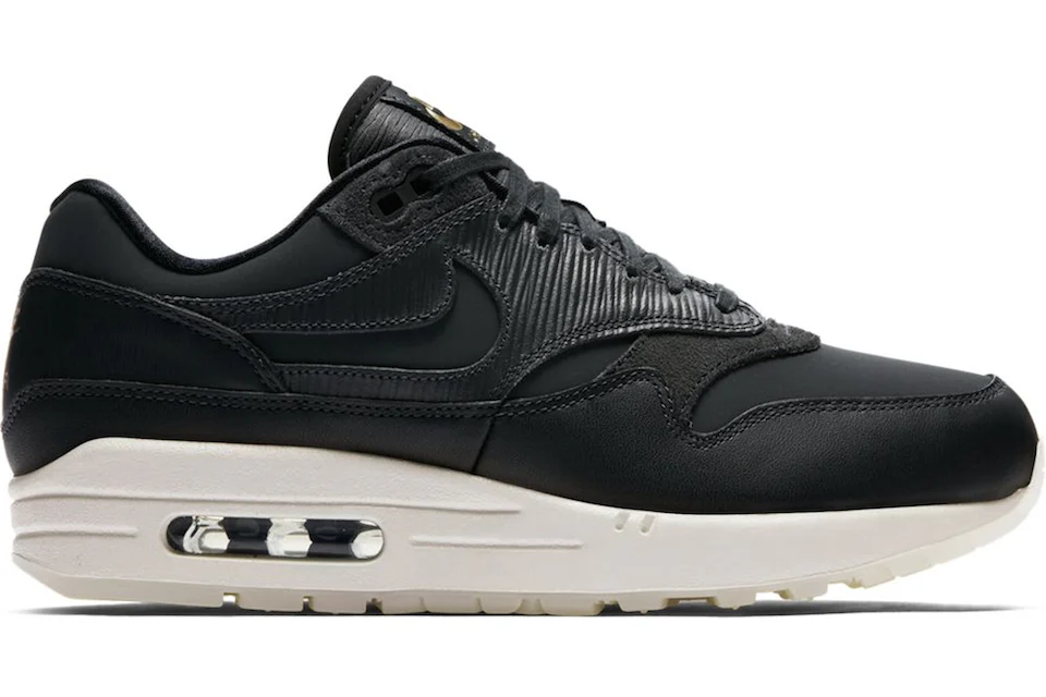 Nike Air Max 1 Anthracite (Women's)
