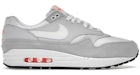 Nike Air Max 1 Platino Puro Anaranjado