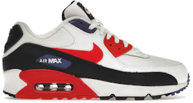 Nike Air Max 90 Raptors