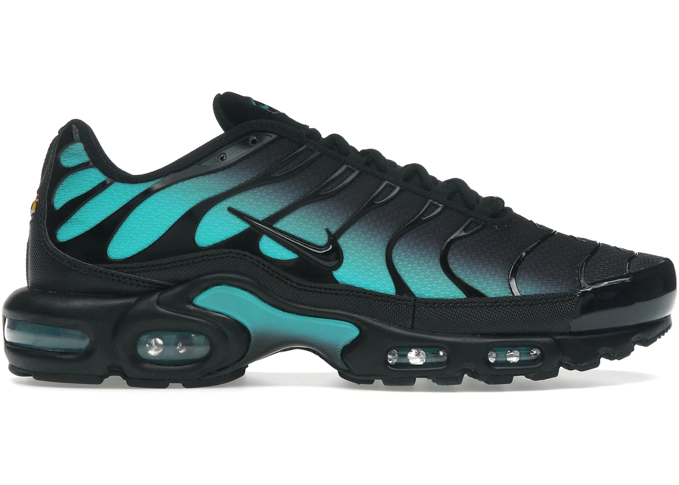 Nike Air Max Plus Black Dusty Cactus Men's DM0032-016 US