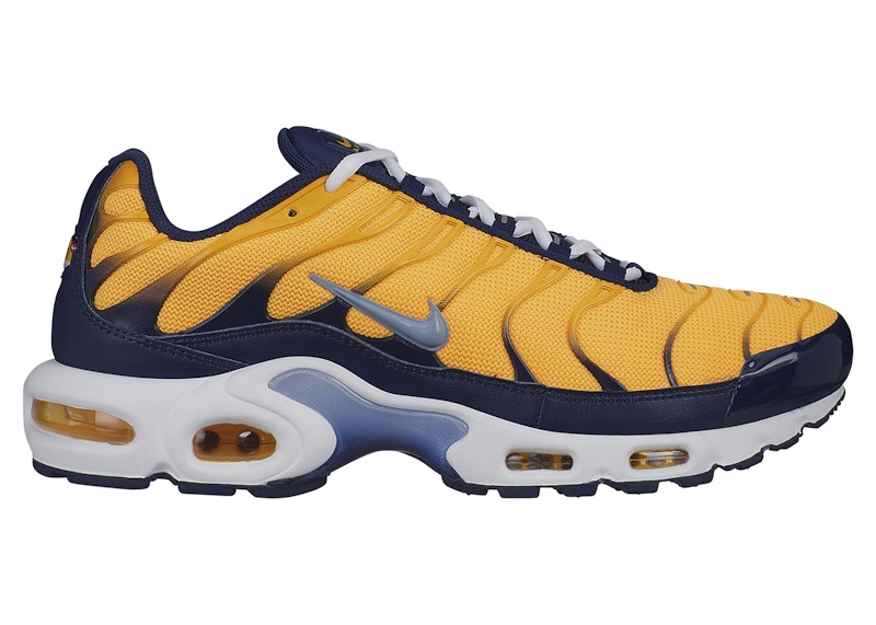 Nike Air Max Plus Laser Orange Obsidian Mist AJ2013 800 JP