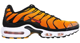 Nike Air Max Plus Reverse Sunset Men s DC6094 001 US