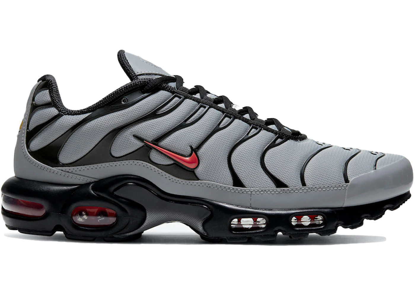 wolf grey white black tn