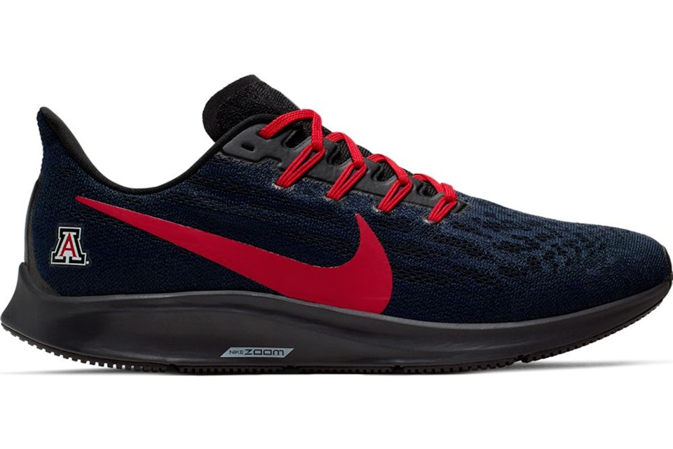 Patriots 2025 pegasus 36