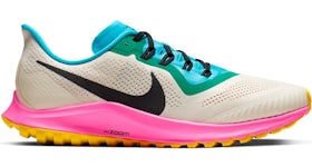 Nike zoom pegasus 36 trail hombre hotsell
