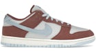Nike Dunk Low Retro SE Terra Brown Celestine Blue