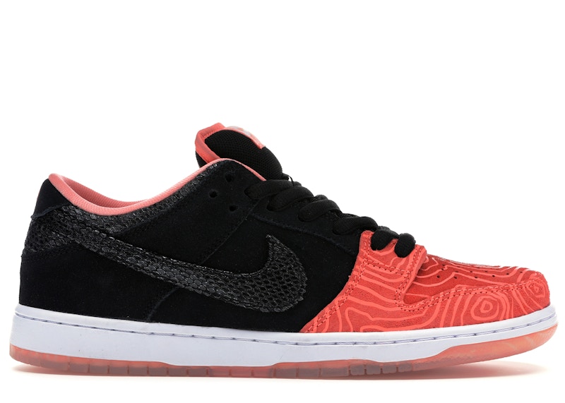 Nike store sb fish