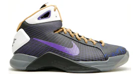 Hyperdunk sales 218 purple