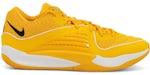 Nike KD 16 TB University Gold