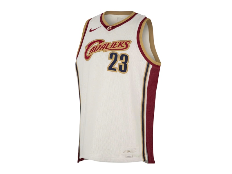 Nike LeBron James Dri-FIT NBA Jersey Multicolor メンズ - FW25 - JP