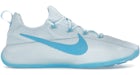 Nike LeBron TR 1 Glacier Blue Baltic Blue