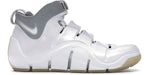 Nike LeBron 4 Bianco Cromo