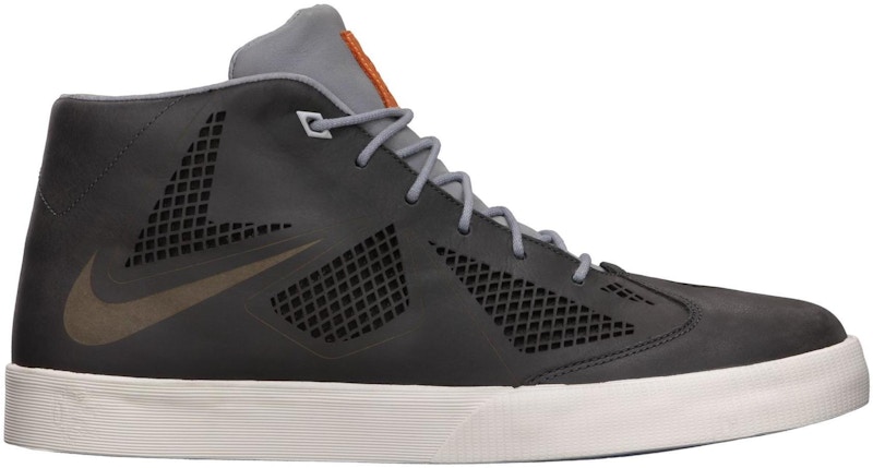 Lebron x outlet home