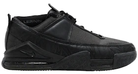 Nike LeBron Zoom 2 Low Black
