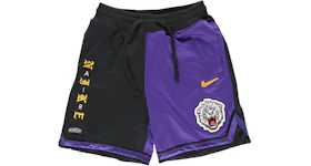 Nike 2025 lebron apparel