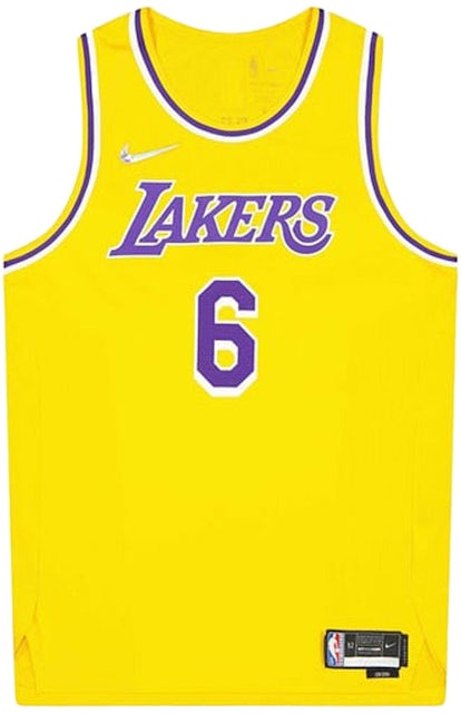 Nike NBA Los Angeles Lakers LeBron James Swingman Jersey Icon Edition 2020