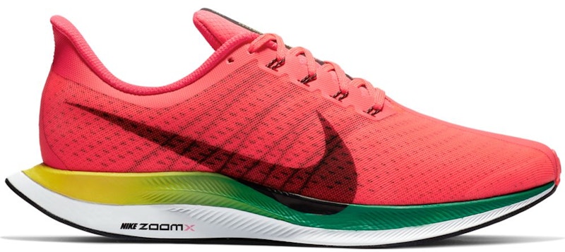 Nike pegasus zoom x