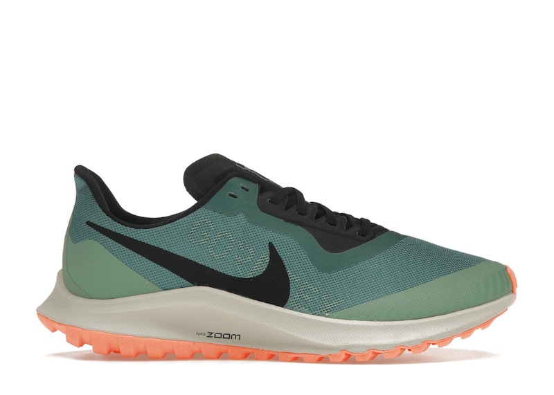 Nike Zoom Pegasus 36 Trail Gore-Tex Bicoastal (Women's)