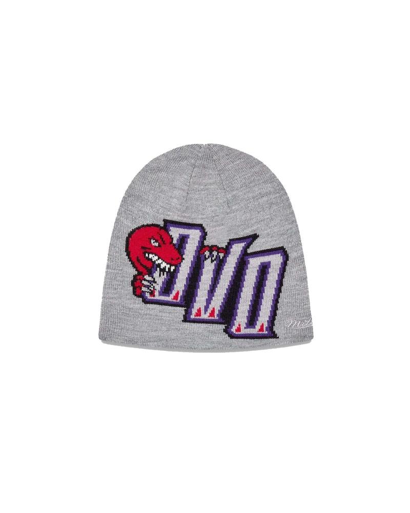 Toronto cheap raptors beanie