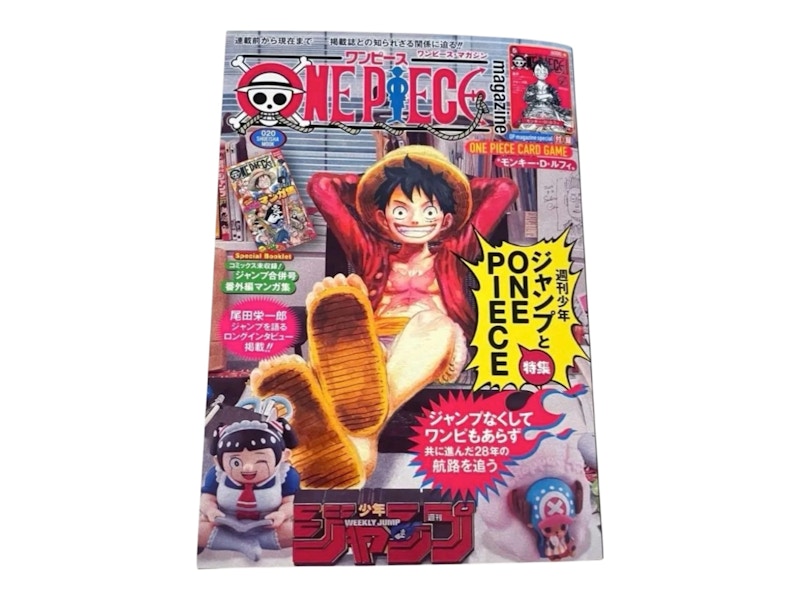 One Piece Vol. 20 Magazine