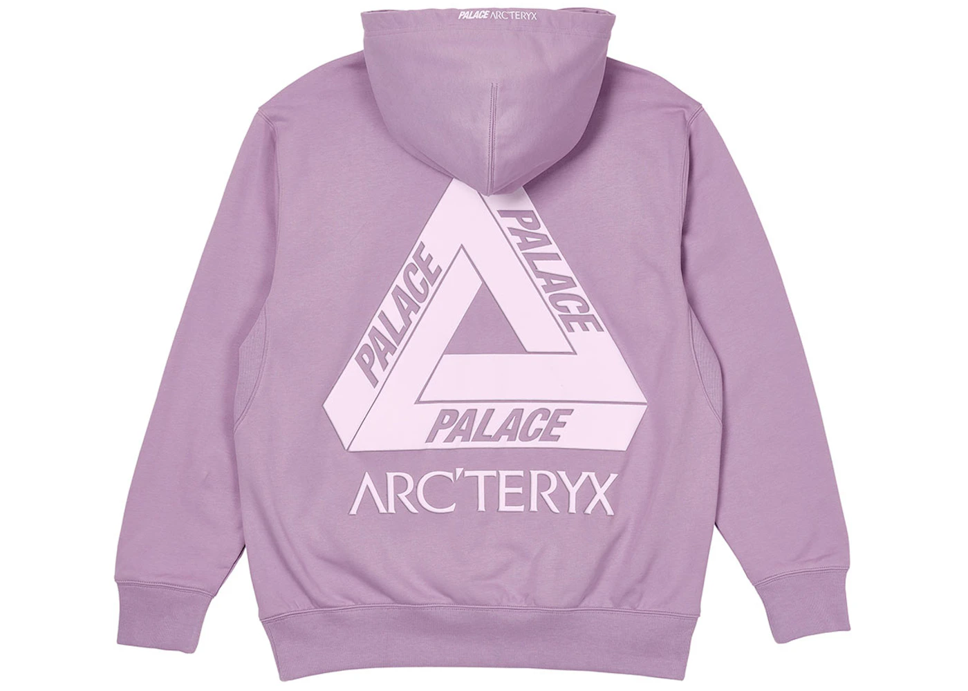 Purple Palace Arcteryx Hoodie ARC'TERYX×PALACE Palace Arc'teryx Hoodie