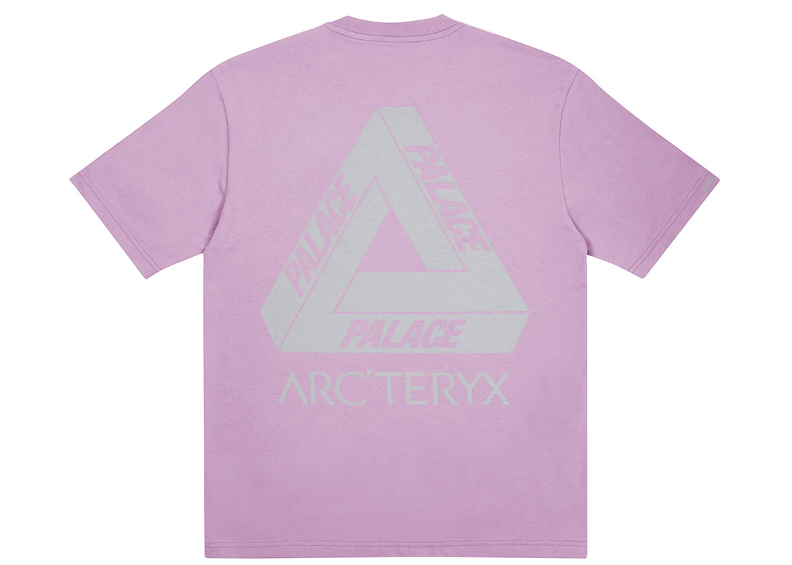 Palace Arc'teryx T-shirt Haze