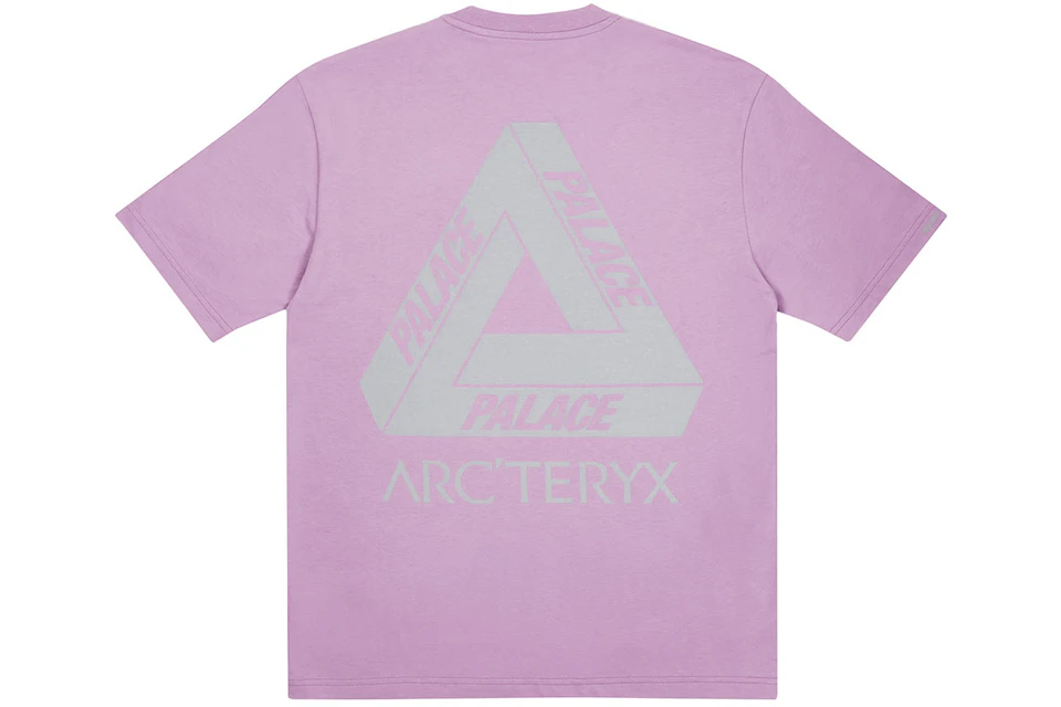 Palace Arc'Teryx T-shirt Haze