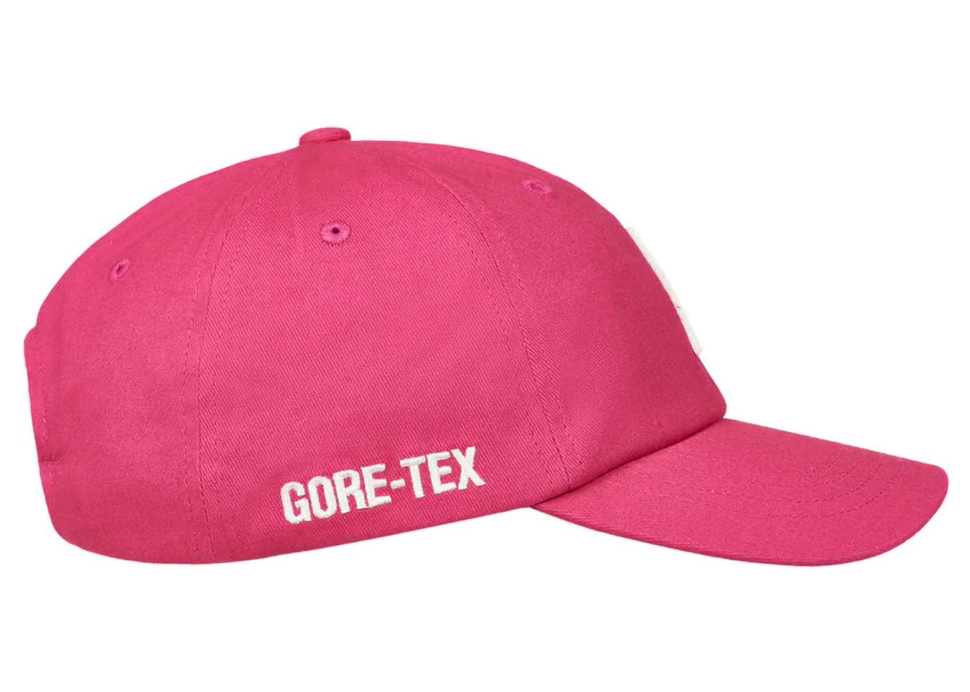 Palace GORE-TEX Pigment P 6-Panel Pink - FW23 - US