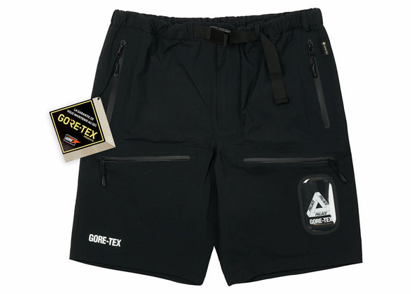 Palace GORE-TEX S-Tech Shorts Black Men's - SS22 - US