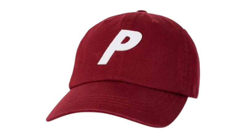Palace P 6-Panel (FW25) Berg