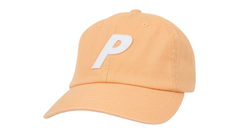 Palace P 6 panneaux (SS25) pêche