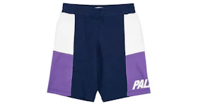 Palace S-Drop Shorts Purple