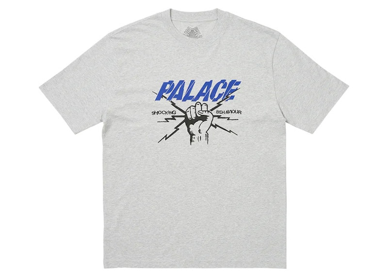 Pre-owned Palace Men's  Shocking Behaviour T-shirt In Grey Marl