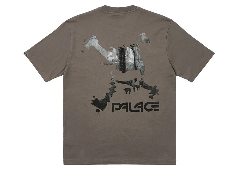 Palace x Oakley T-Shirt Grey Men's - SS23 - US